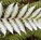 Newlands Landscaping - Builders Sunshine Coast